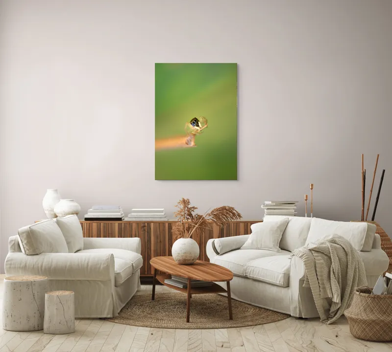 Tablou Canvas, "Micuța păianjen pe o ramură", Arahnidă, Fragilitate, Echilibru, Verde, Microscopic, Natură, Focalizare, Detaliu, 70 x 100 cm – poza 4