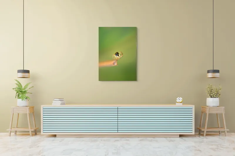 Tablou Canvas, "Micuța păianjen pe o ramură", Arahnidă, Fragilitate, Echilibru, Verde, Microscopic, Natură, Focalizare, Detaliu, 70 x 100 cm – poza 5