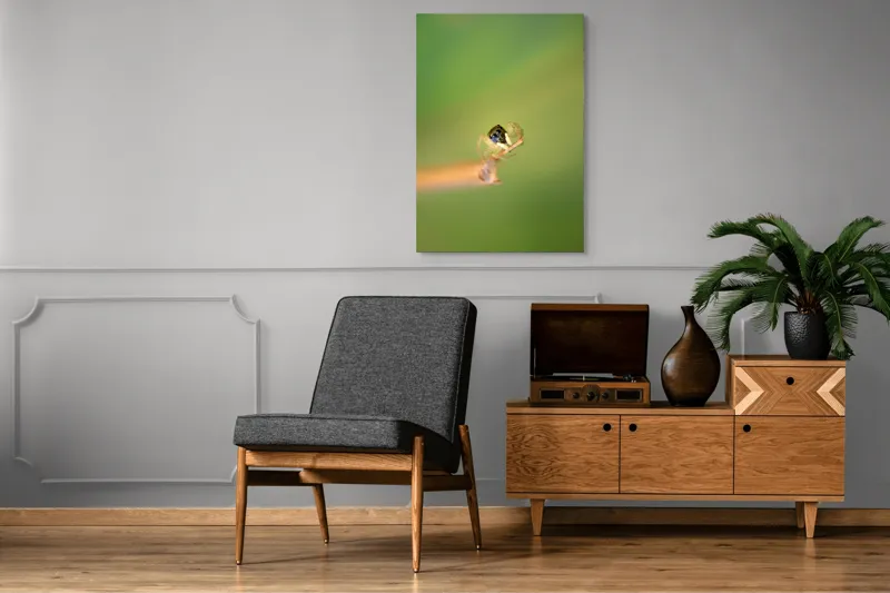 Tablou Canvas, "Micuța păianjen pe o ramură", Arahnidă, Fragilitate, Echilibru, Verde, Microscopic, Natură, Focalizare, Detaliu, 70 x 100 cm – poza 6