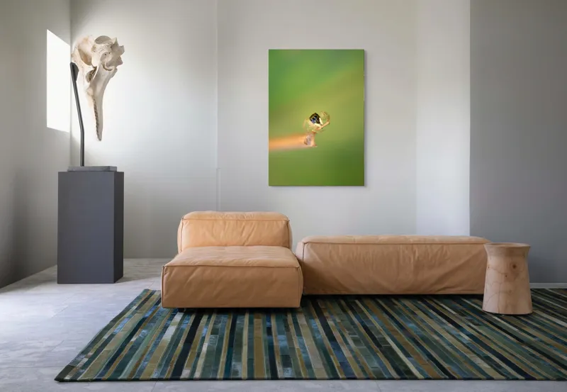 Tablou Canvas, "Micuța păianjen pe o ramură", Arahnidă, Fragilitate, Echilibru, Verde, Microscopic, Natură, Focalizare, Detaliu, 70 x 100 cm – poza 7