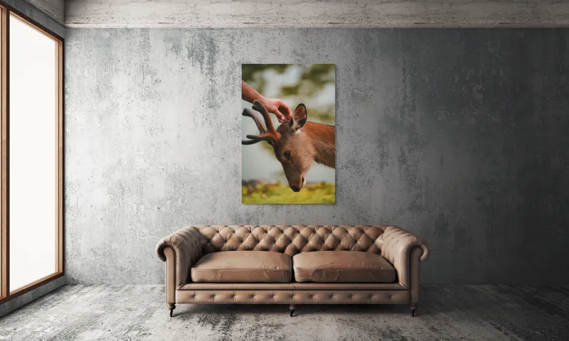 Tablou Canvas, "Mângâierea blândă a cerbului tânăr", Natură, Căprioară, Antlers, Mângâiere, Serenitate, Peisaj, Seninătate, 100 x 150 cm – poza 6