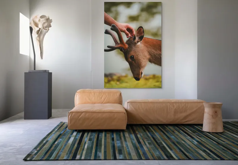 Tablou Canvas, "Mângâierea blândă a cerbului tânăr", Natură, Căprioară, Antlers, Mângâiere, Serenitate, Peisaj, Seninătate, 100 x 150 cm – poza 7