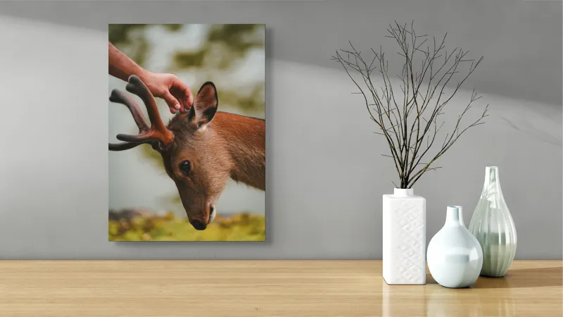 Tablou Canvas, "Mângâierea blândă a cerbului tânăr", Natură, Căprioară, Antlers, Mângâiere, Serenitate, Peisaj, Seninătate, 39 x 54 cm – poza 4