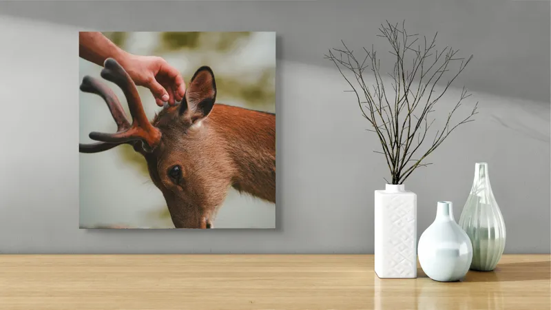 Tablou Canvas, "Mângâierea blândă a cerbului tânăr", Natură, Căprioară, Antlers, Mângâiere, Serenitate, Peisaj, Seninătate, 50 x 50 cm – poza 3