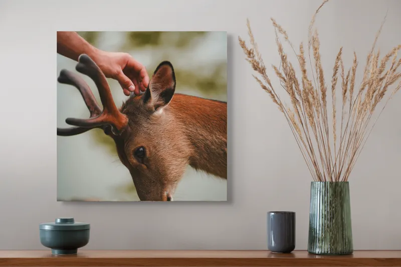 Tablou Canvas, "Mângâierea blândă a cerbului tânăr", Natură, Căprioară, Antlers, Mângâiere, Serenitate, Peisaj, Seninătate, 50 x 50 cm – poza 4