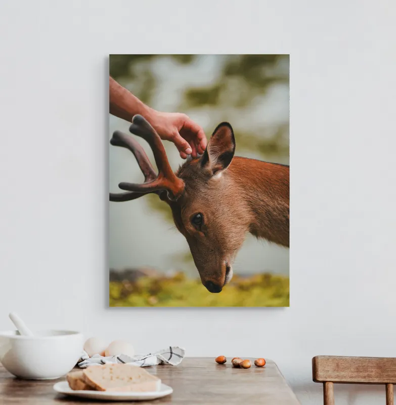 Tablou Canvas, "Mângâierea blândă a cerbului tânăr", Natură, Căprioară, Antlers, Mângâiere, Serenitate, Peisaj, Seninătate, 50 x 70 cm – poza 3