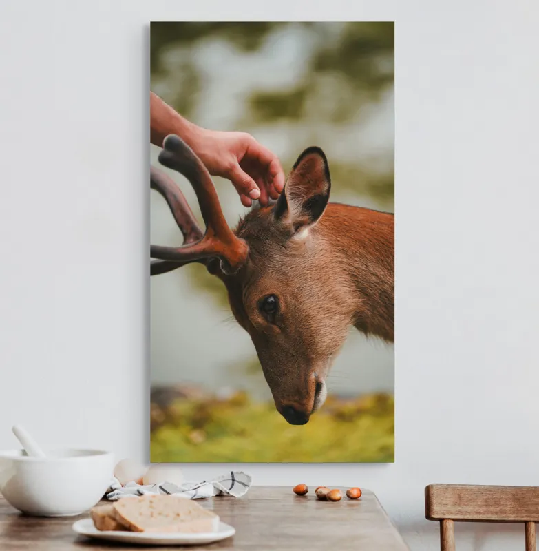 Tablou Canvas, "Mângâierea blândă a cerbului tânăr", Natură, Căprioară, Antlers, Mângâiere, Serenitate, Peisaj, Seninătate, 50 x 90 cm – poza 3
