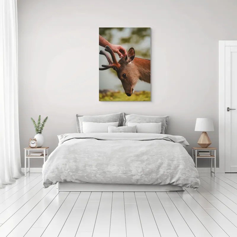 Tablou Canvas, "Mângâierea blândă a cerbului tânăr", Natură, Căprioară, Antlers, Mângâiere, Serenitate, Peisaj, Seninătate, 70 x 100 cm – poza 3