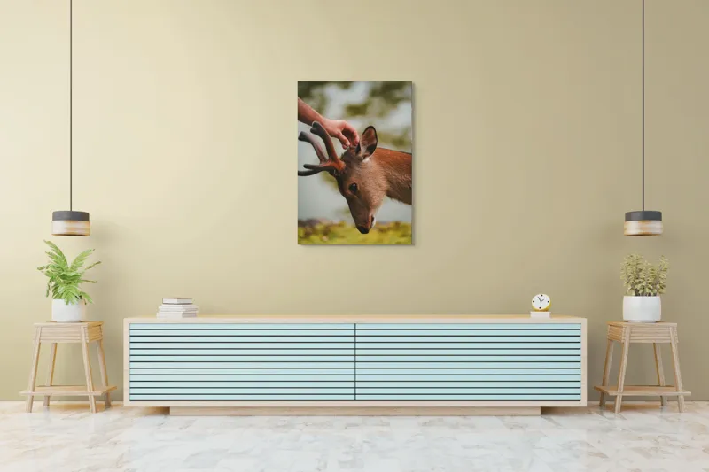Tablou Canvas, "Mângâierea blândă a cerbului tânăr", Natură, Căprioară, Antlers, Mângâiere, Serenitate, Peisaj, Seninătate, 70 x 100 cm – poza 5