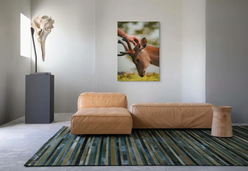 Tablou Canvas, "Mângâierea blândă a cerbului tânăr", Natură, Căprioară, Antlers, Mângâiere, Serenitate, Peisaj, Seninătate, 70 x 100 cm – poza 7