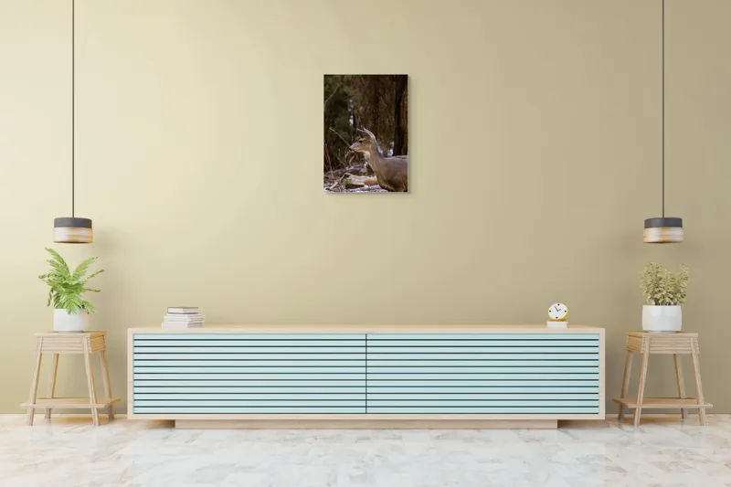 Tablou Canvas, "Căprioară printre copaci de iarnă", Cerb, Pădure, Natură, Blană, Vânătoare, Sălbăticie, Pașnic, Tăcut., 50 x 70 cm – poza 6