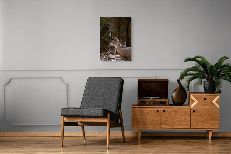 Tablou Canvas, "Căprioară printre copaci de iarnă", Cerb, Pădure, Natură, Blană, Vânătoare, Sălbăticie, Pașnic, Tăcut., 50 x 70 cm – poza 8