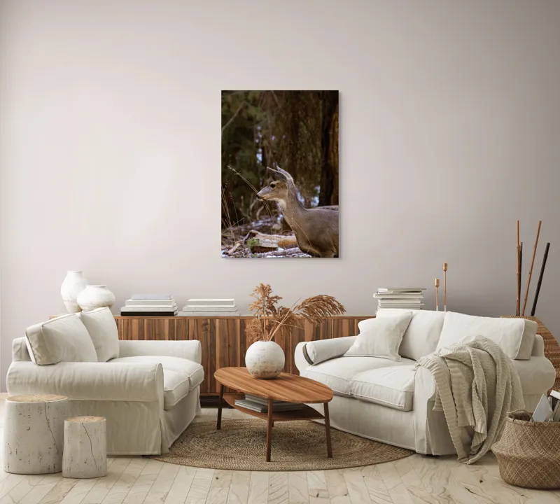 Tablou Canvas, "Căprioară printre copaci de iarnă", Cerb, Pădure, Natură, Blană, Vânătoare, Sălbăticie, Pașnic, Tăcut., 70 x 100 cm – poza 4
