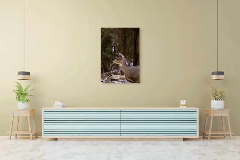 Tablou Canvas, "Căprioară printre copaci de iarnă", Cerb, Pădure, Natură, Blană, Vânătoare, Sălbăticie, Pașnic, Tăcut., 70 x 100 cm – poza 5