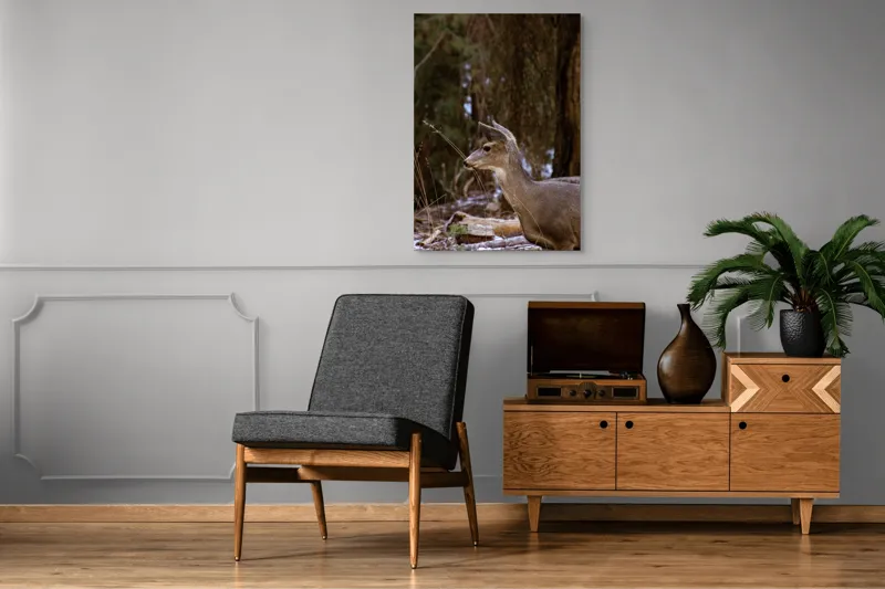 Tablou Canvas, "Căprioară printre copaci de iarnă", Cerb, Pădure, Natură, Blană, Vânătoare, Sălbăticie, Pașnic, Tăcut., 70 x 100 cm – poza 6