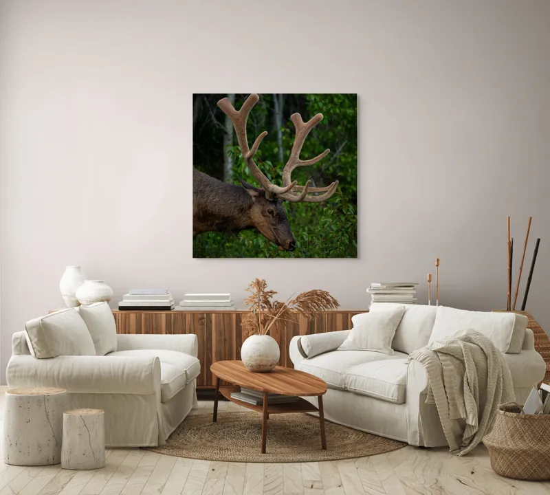 Tablou Canvas, "Elan în pădurea verde intensă", Cerb, Impunător, Pădure, Antler, Verdeață, Natură, Sălbatic, Majestuos, 100 x 100 cm – poza 3