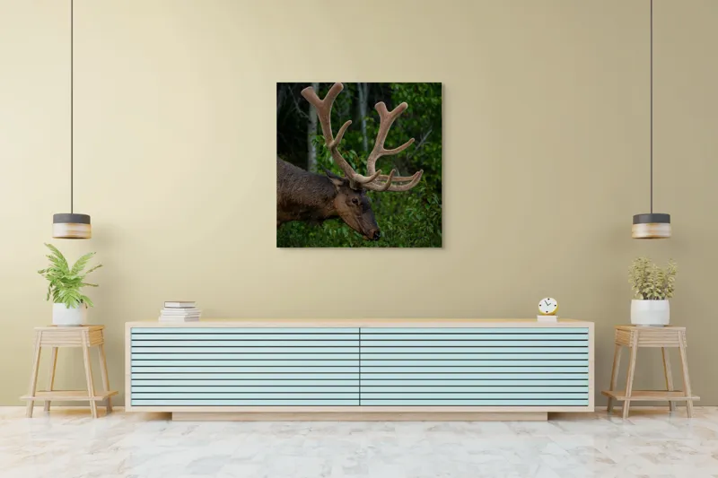 Tablou Canvas, "Elan în pădurea verde intensă", Cerb, Impunător, Pădure, Antler, Verdeață, Natură, Sălbatic, Majestuos, 100 x 100 cm – poza 5