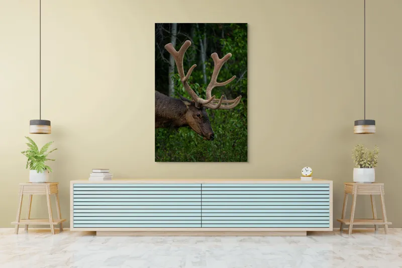 Tablou Canvas, "Elan în pădurea verde intensă", Cerb, Impunător, Pădure, Antler, Verdeață, Natură, Sălbatic, Majestuos, 100 x 150 cm – poza 4