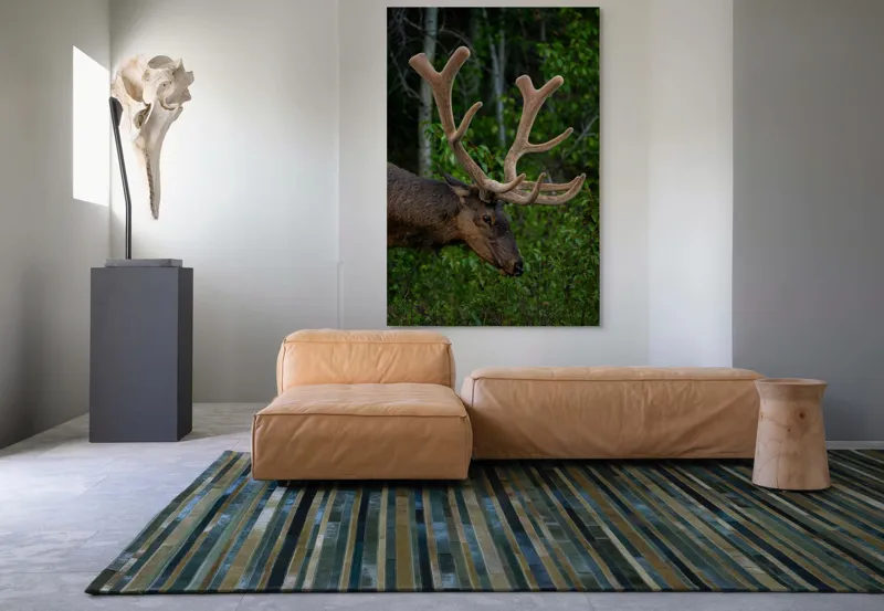 Tablou Canvas, "Elan în pădurea verde intensă", Cerb, Impunător, Pădure, Antler, Verdeață, Natură, Sălbatic, Majestuos, 100 x 150 cm – poza 7