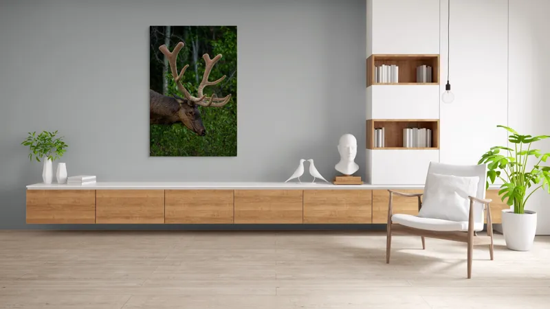 Tablou Canvas, "Elan în pădurea verde intensă", Cerb, Impunător, Pădure, Antler, Verdeață, Natură, Sălbatic, Majestuos, 100 x 150 cm – poza 8