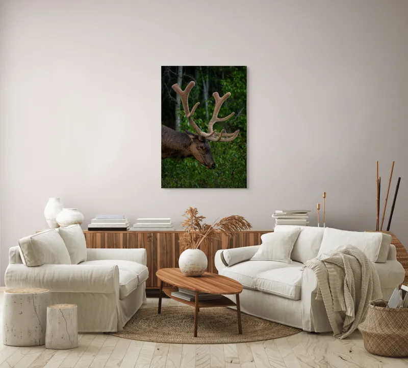 Tablou Canvas, "Elan în pădurea verde intensă", Cerb, Impunător, Pădure, Antler, Verdeață, Natură, Sălbatic, Majestuos, 70 x 100 cm – poza 4