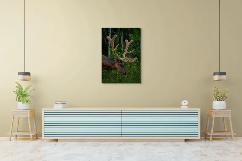 Tablou Canvas, "Elan în pădurea verde intensă", Cerb, Impunător, Pădure, Antler, Verdeață, Natură, Sălbatic, Majestuos, 70 x 100 cm – poza 5