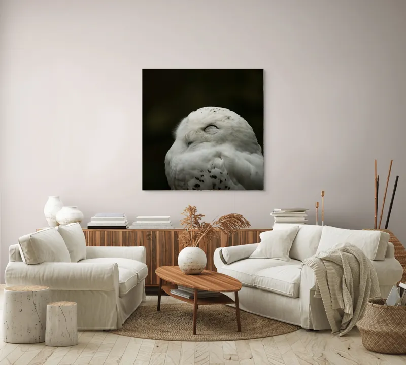Tablou Canvas, "Bufnița în liniștea nopții adânci", Alb, Pufos, Somnoros, Odihnitor, Bland, Tacut, 100 x 100 cm – poza 3