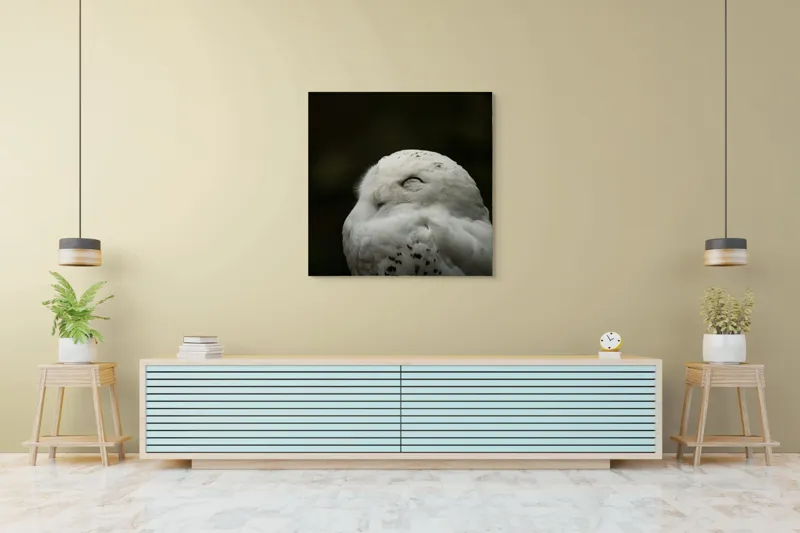 Tablou Canvas, "Bufnița în liniștea nopții adânci", Alb, Pufos, Somnoros, Odihnitor, Bland, Tacut, 100 x 100 cm – poza 5