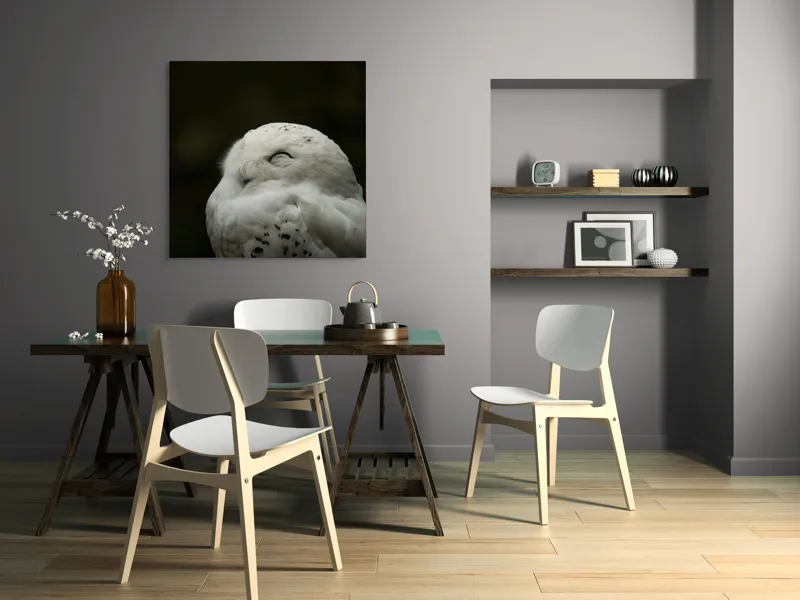 Tablou Canvas, "Bufnița în liniștea nopții adânci", Alb, Pufos, Somnoros, Odihnitor, Bland, Tacut, 100 x 100 cm – poza 6