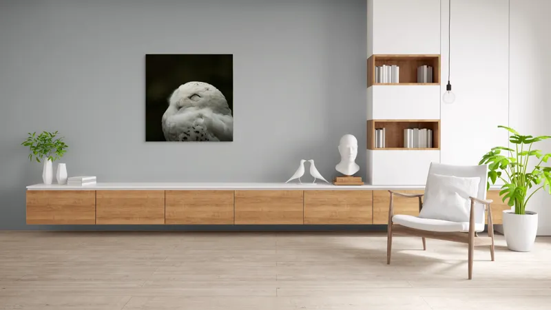 Tablou Canvas, "Bufnița în liniștea nopții adânci", Alb, Pufos, Somnoros, Odihnitor, Bland, Tacut, 100 x 100 cm – poza 8