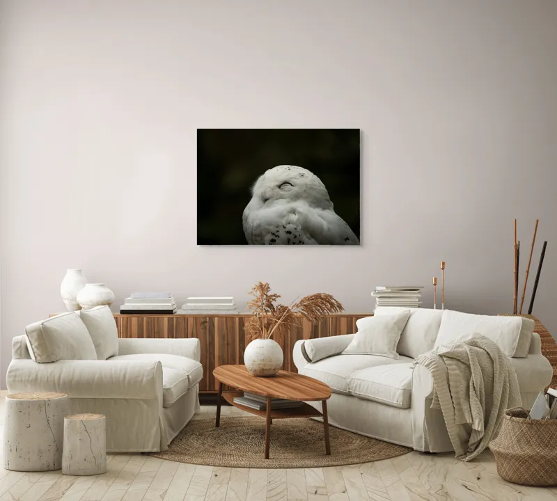 Tablou Canvas, "Bufnița în liniștea nopții adânci", Alb, Pufos, Somnoros, Odihnitor, Bland, Tacut, 100 x 70 cm – poza 3