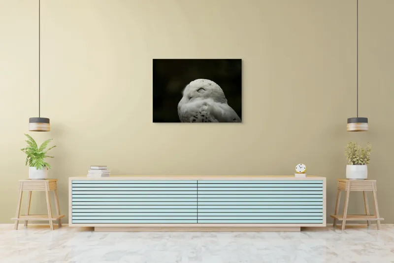 Tablou Canvas, "Bufnița în liniștea nopții adânci", Alb, Pufos, Somnoros, Odihnitor, Bland, Tacut, 100 x 70 cm – poza 4