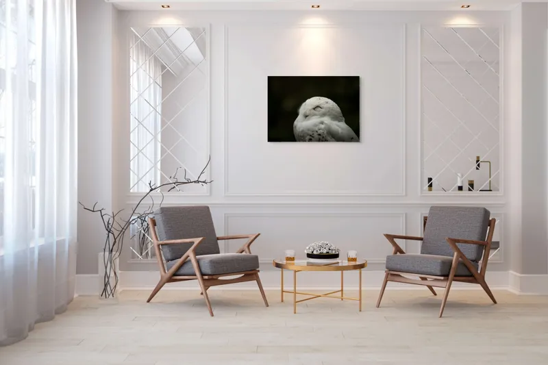 Tablou Canvas, "Bufnița în liniștea nopții adânci", Alb, Pufos, Somnoros, Odihnitor, Bland, Tacut, 100 x 70 cm – poza 5