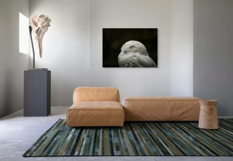 Tablou Canvas, "Bufnița în liniștea nopții adânci", Alb, Pufos, Somnoros, Odihnitor, Bland, Tacut, 100 x 70 cm – poza 7