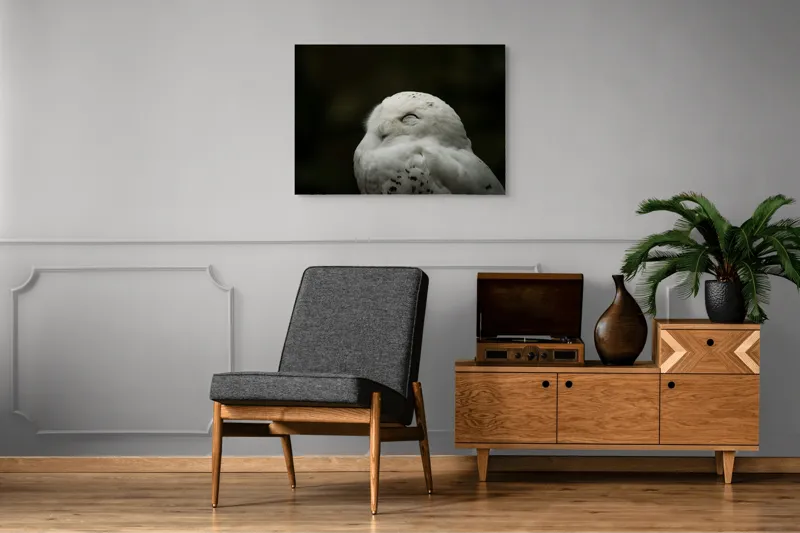 Tablou Canvas, "Bufnița în liniștea nopții adânci", Alb, Pufos, Somnoros, Odihnitor, Bland, Tacut, 100 x 70 cm – poza 8