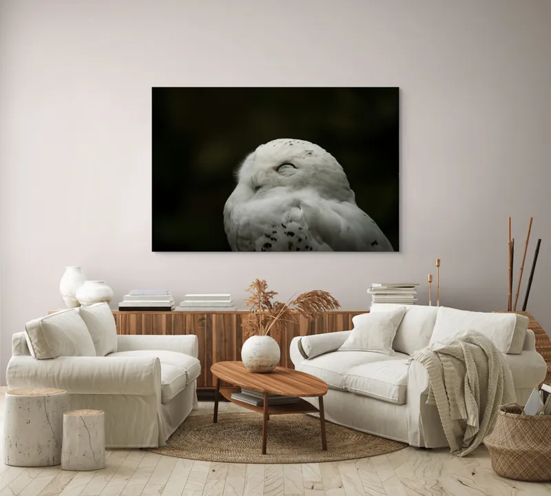 Tablou Canvas, "Bufnița în liniștea nopții adânci", Alb, Pufos, Somnoros, Odihnitor, Bland, Tacut, 150 x 100 cm – poza 3