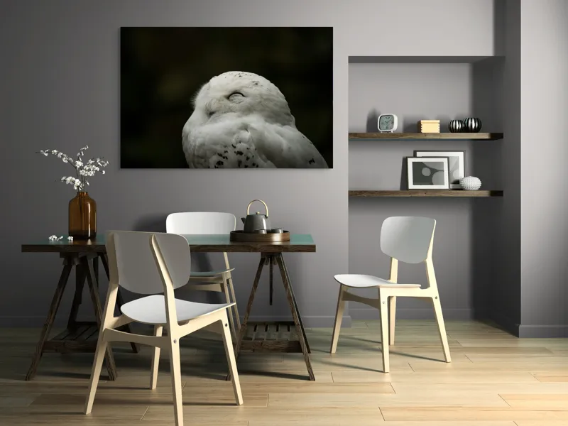 Tablou Canvas, "Bufnița în liniștea nopții adânci", Alb, Pufos, Somnoros, Odihnitor, Bland, Tacut, 150 x 100 cm – poza 5