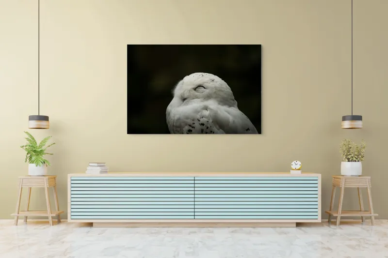 Tablou Canvas, "Bufnița în liniștea nopții adânci", Alb, Pufos, Somnoros, Odihnitor, Bland, Tacut, 150 x 100 cm – poza 6
