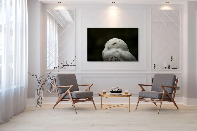 Tablou Canvas, "Bufnița în liniștea nopții adânci", Alb, Pufos, Somnoros, Odihnitor, Bland, Tacut, 150 x 100 cm – poza 7
