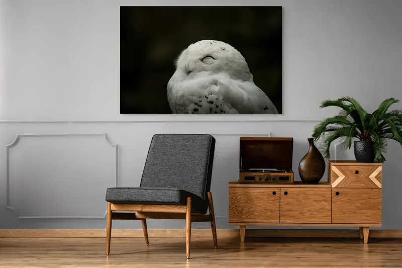 Tablou Canvas, "Bufnița în liniștea nopții adânci", Alb, Pufos, Somnoros, Odihnitor, Bland, Tacut, 150 x 100 cm – poza 8