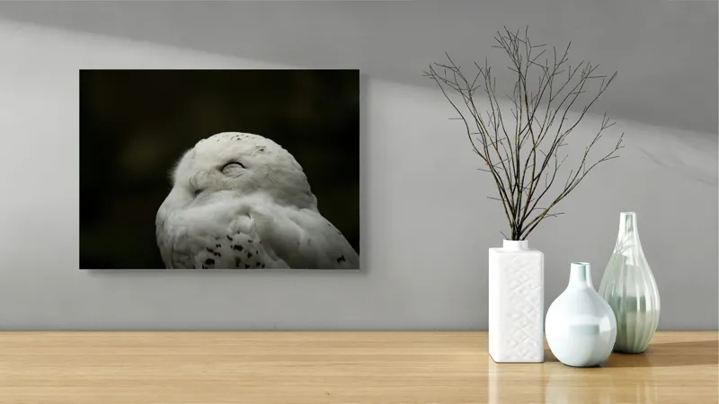 Tablou Canvas, "Bufnița în liniștea nopții adânci", Alb, Pufos, Somnoros, Odihnitor, Bland, Tacut, 54 x 39 cm – poza 3