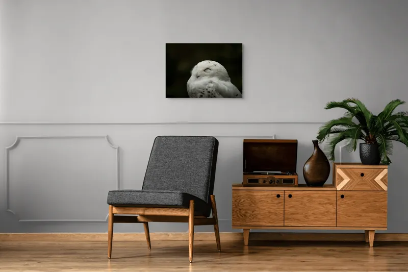 Tablou Canvas, "Bufnița în liniștea nopții adânci", Alb, Pufos, Somnoros, Odihnitor, Bland, Tacut, 70 x 50 cm – poza 4