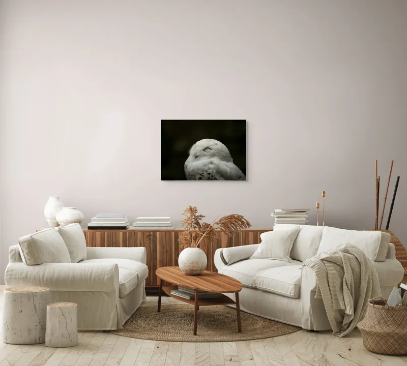 Tablou Canvas, "Bufnița în liniștea nopții adânci", Alb, Pufos, Somnoros, Odihnitor, Bland, Tacut, 70 x 50 cm – poza 6