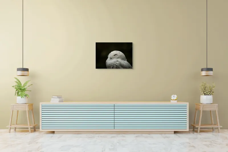 Tablou Canvas, "Bufnița în liniștea nopții adânci", Alb, Pufos, Somnoros, Odihnitor, Bland, Tacut, 70 x 50 cm – poza 7