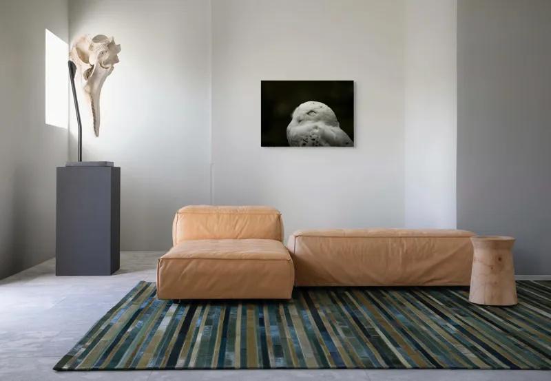 Tablou Canvas, "Bufnița în liniștea nopții adânci", Alb, Pufos, Somnoros, Odihnitor, Bland, Tacut, 70 x 50 cm – poza 8
