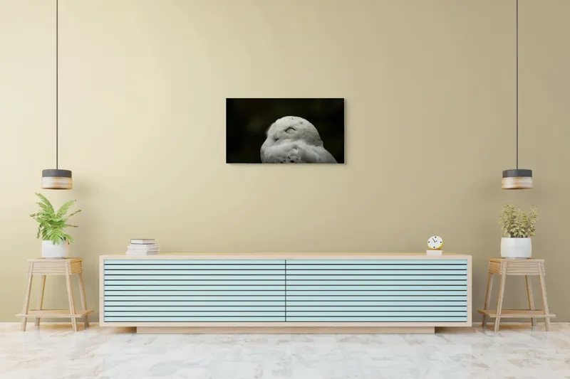 Tablou Canvas, "Bufnița în liniștea nopții adânci", Alb, Pufos, Somnoros, Odihnitor, Bland, Tacut, 90 x 50 cm – poza 5