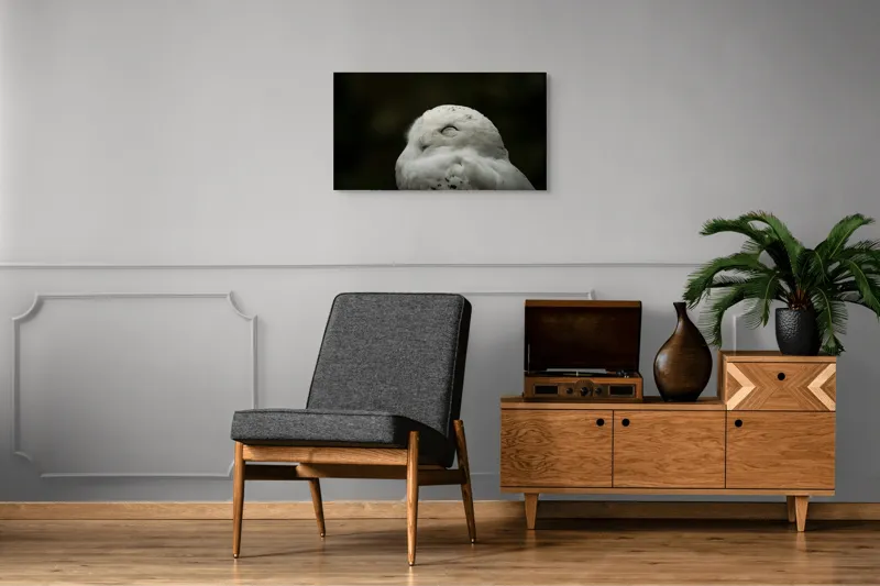 Tablou Canvas, "Bufnița în liniștea nopții adânci", Alb, Pufos, Somnoros, Odihnitor, Bland, Tacut, 90 x 50 cm – poza 6