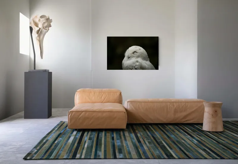 Tablou Canvas, "Bufnița în liniștea nopții adânci", Alb, Pufos, Somnoros, Odihnitor, Bland, Tacut, 90 x 50 cm – poza 8