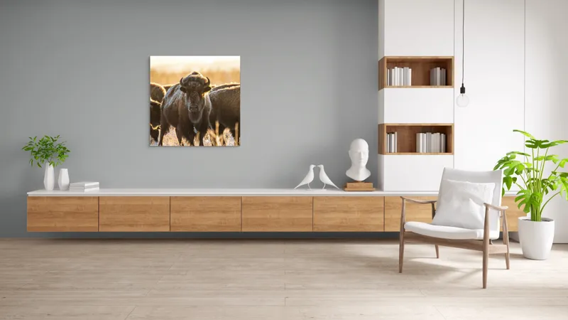 Tablou Canvas, "Turma de zimbri în lumina dimineții", Bizoni, Câmpie, Răsărit, Blană, Luminozitate, Coarne., 100 x 100 cm – poza 8