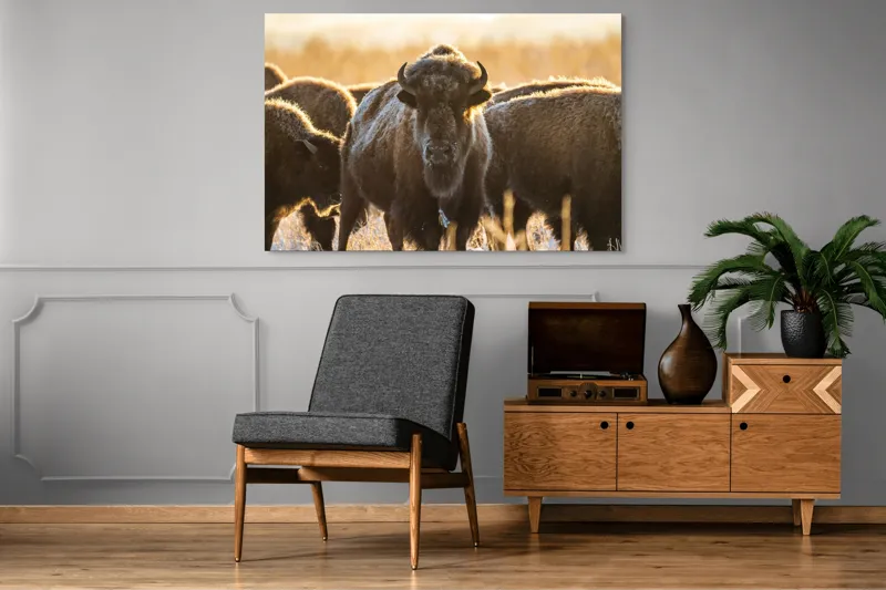 Tablou Canvas, "Turma de zimbri în lumina dimineții", Bizoni, Câmpie, Răsărit, Blană, Luminozitate, Coarne., 150 x 100 cm – poza 8